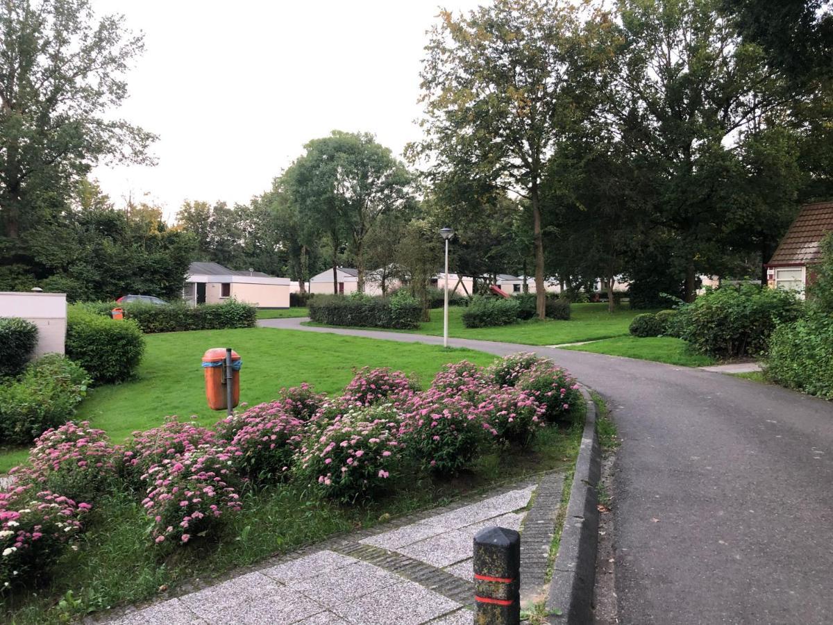 Vakantiebungalow Nr 7 In Het Heuvelland